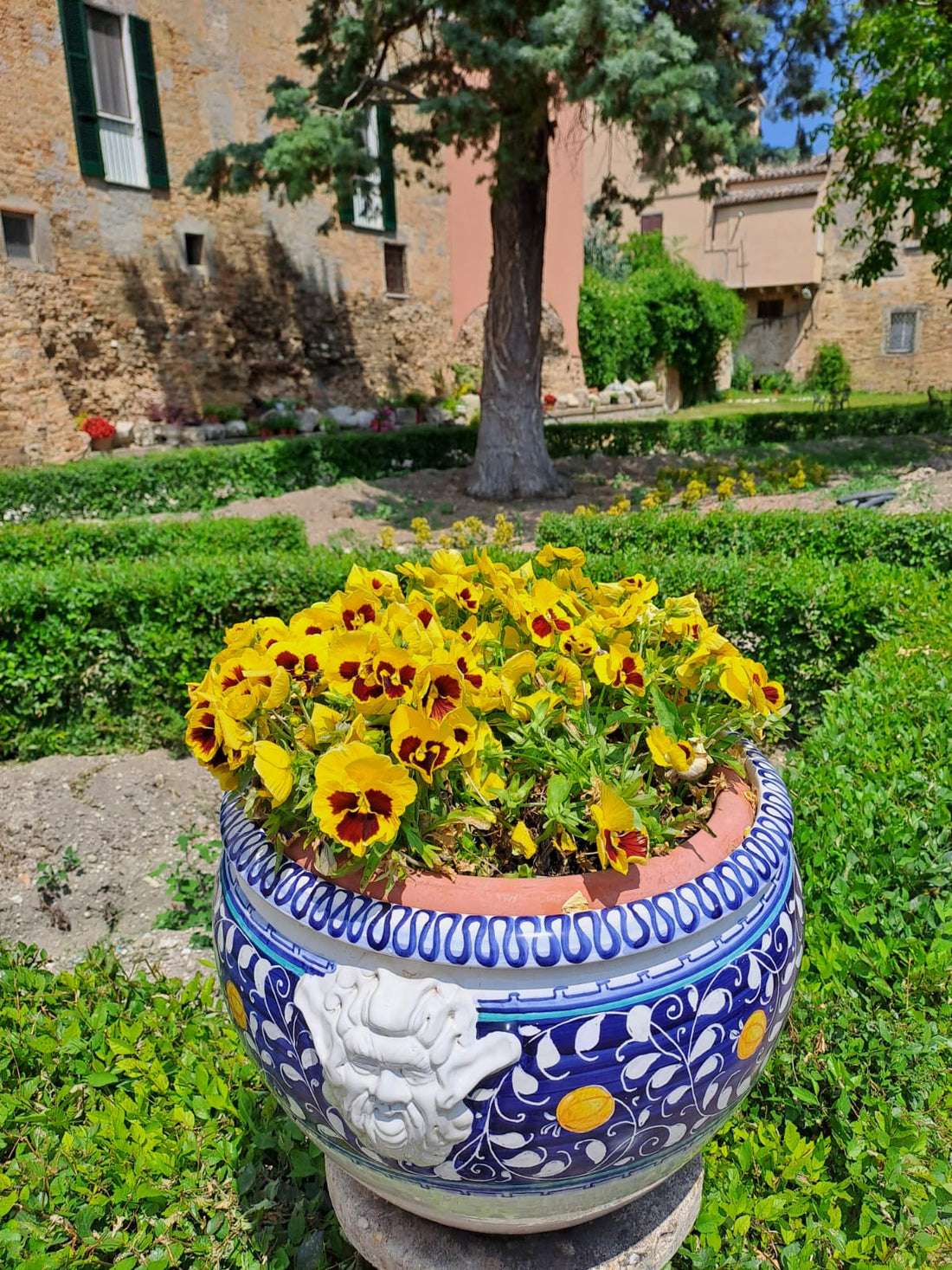 The Garden of the Renaissance