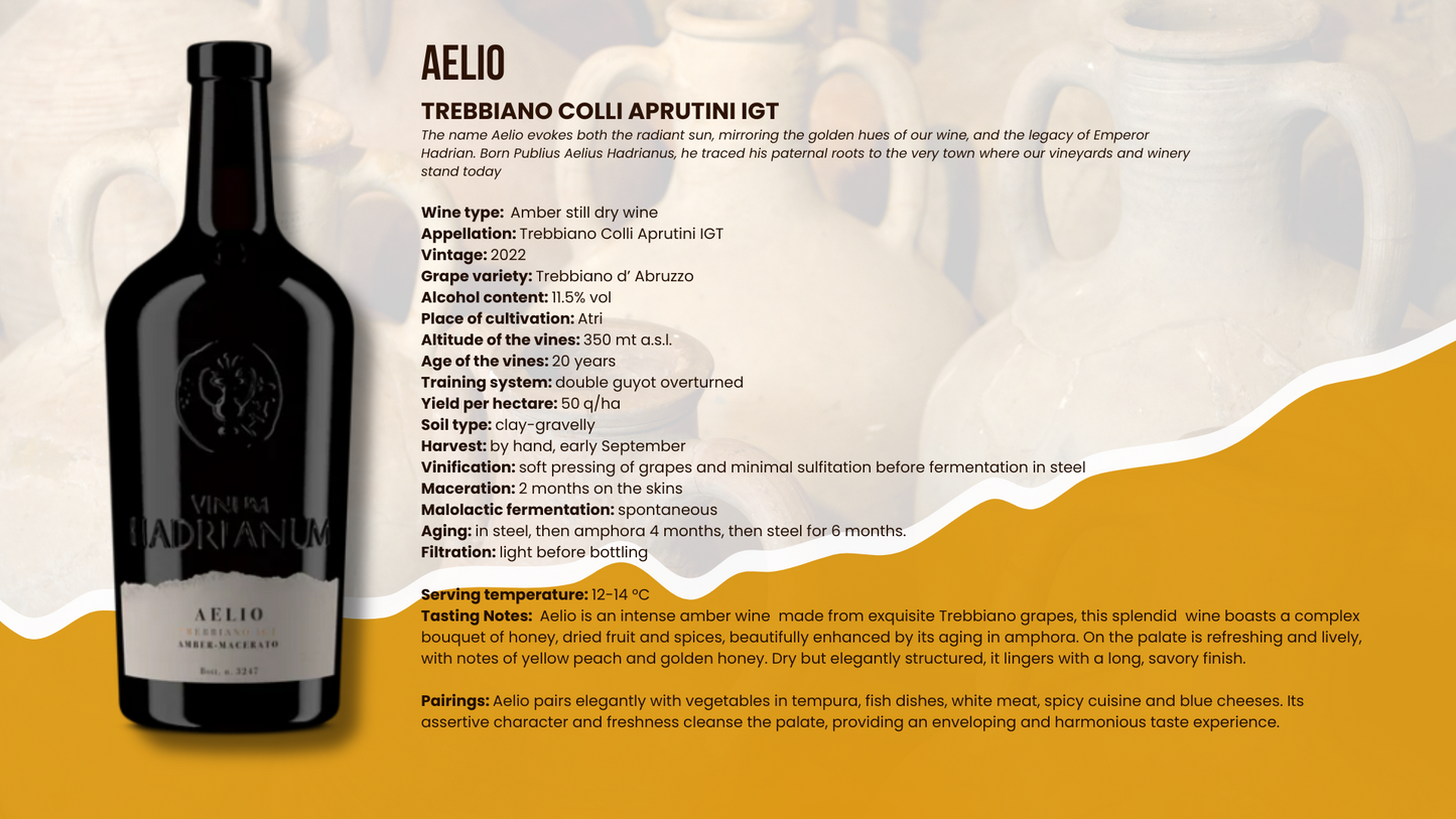 Aelio Trebbiano Colli Aprutini IGT