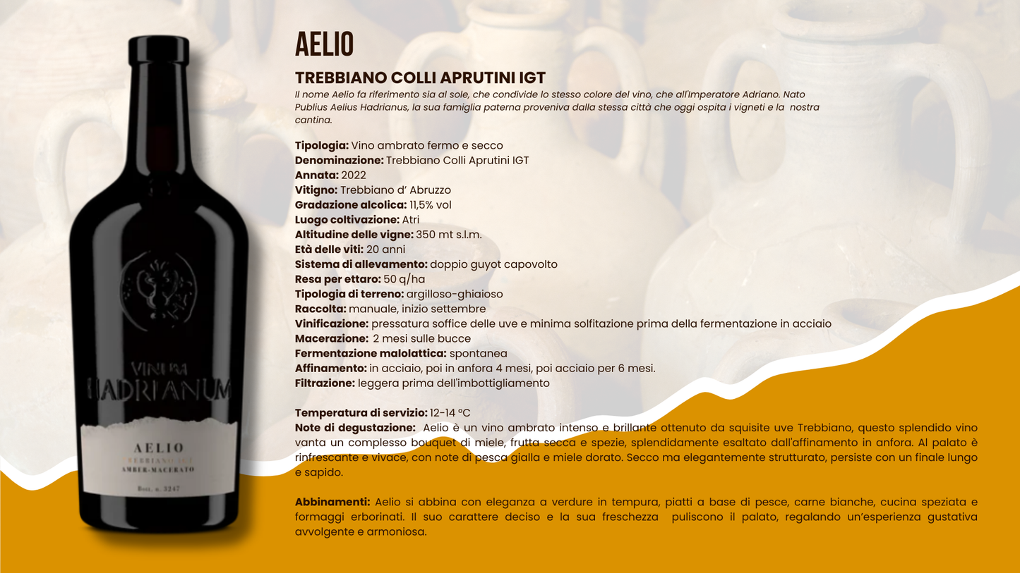 Aelio Trebbiano Colli Aprutini IGT