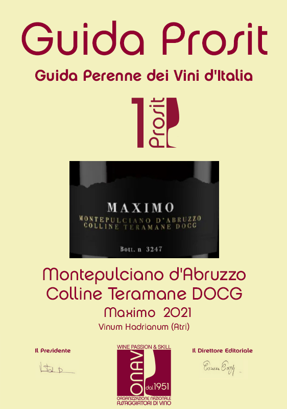 Maximo Montepulciano D'Abruzzo DOCG Colline Teramane