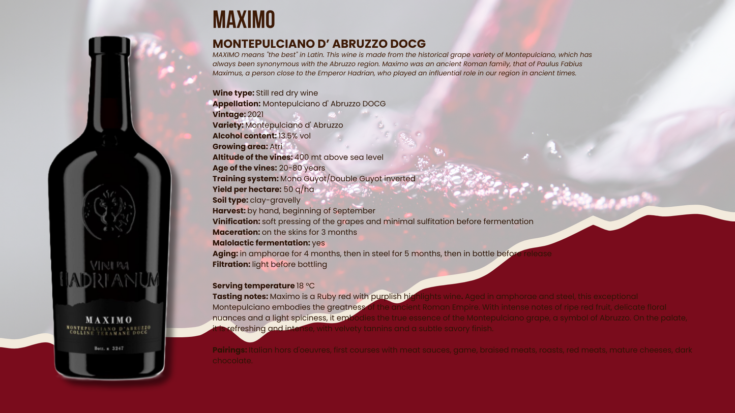 Maximo Montepulciano D'Abruzzo DOCG Colline Teramane