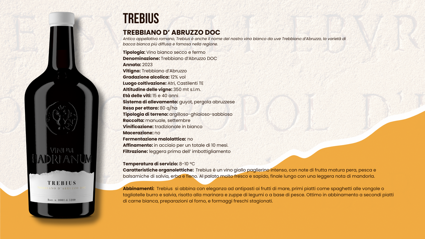 Trebius Trebbiano d' Abruzzo DOC