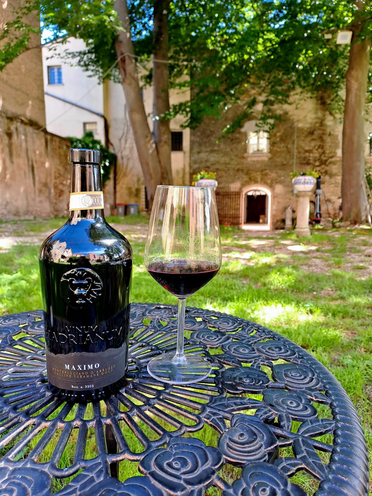 Maximo Montepulciano D'Abruzzo DOCG Colline Teramane