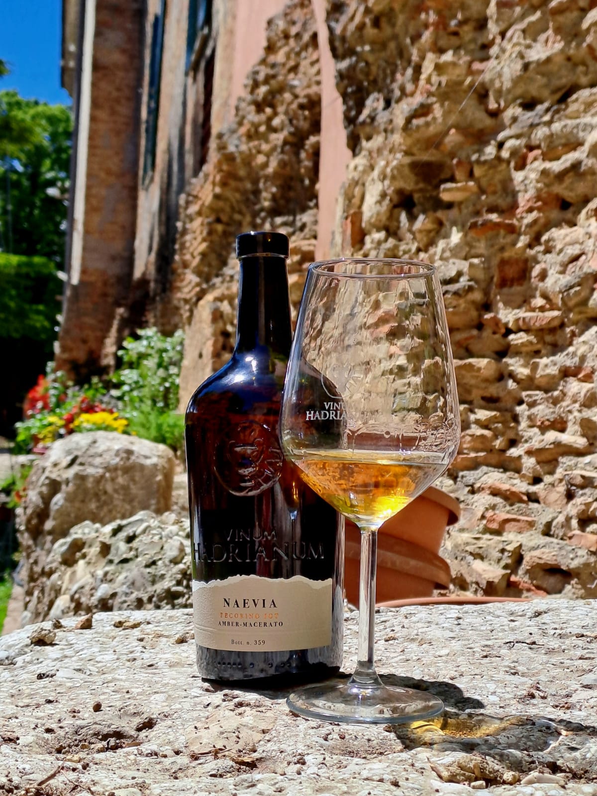 Naevia Pecorino Colli Aprutini IGT