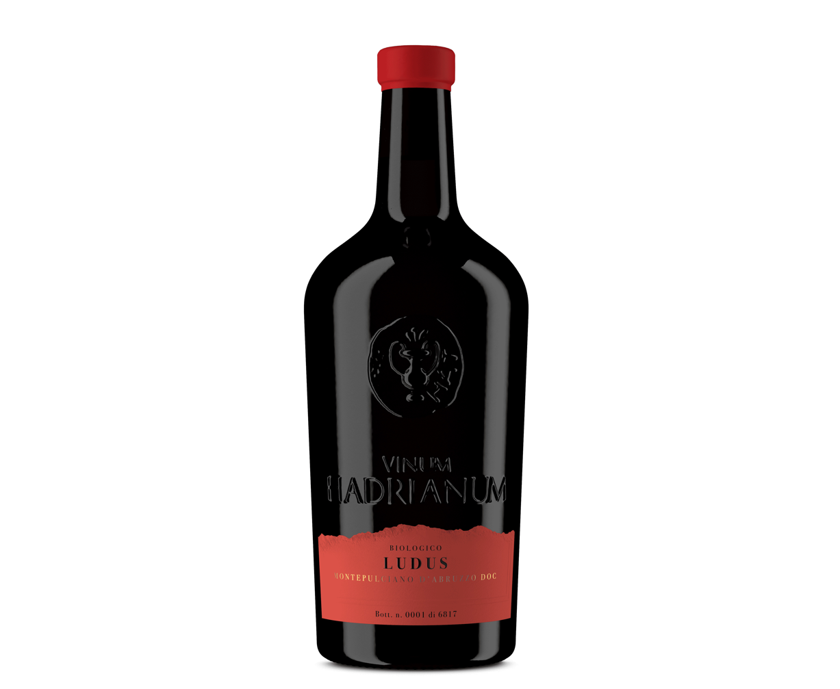 Ludus Montepulciano d' Abruzzo DOC 2025
