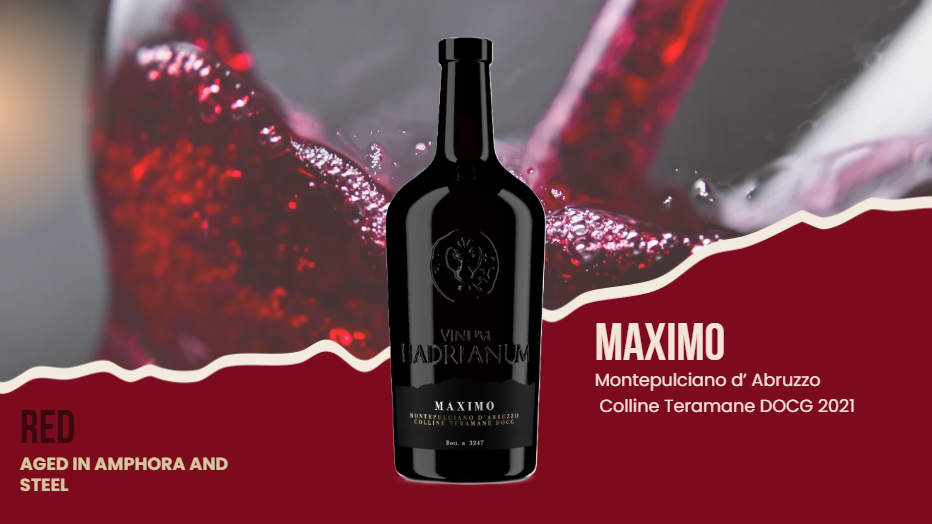 Maximo Montepulciano D'Abruzzo DOCG Colline Teramane