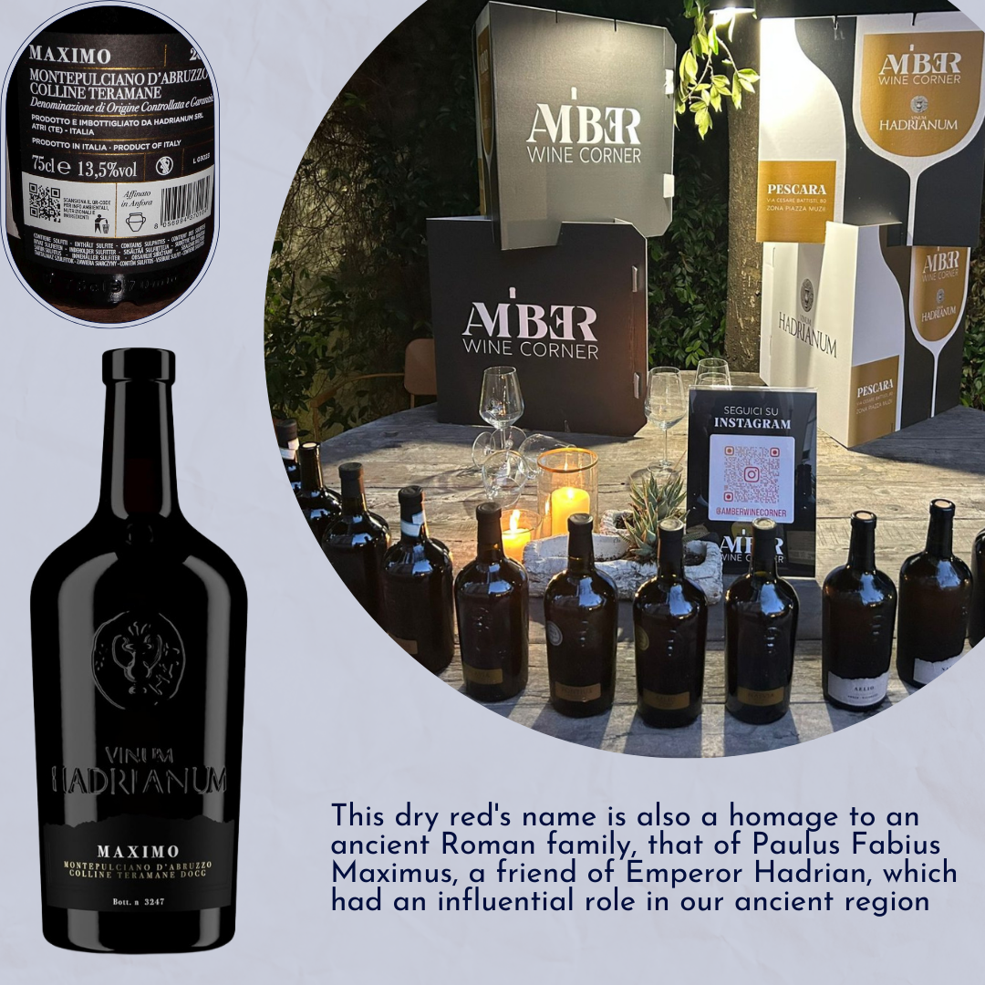 Maximo Montepulciano D'Abruzzo DOCG Colline Teramane