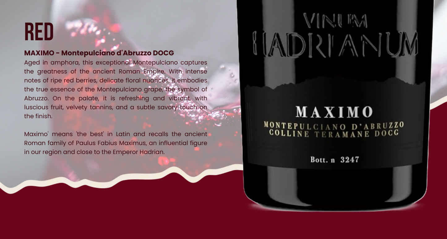 Maximo Montepulciano D'Abruzzo DOCG Colline Teramane