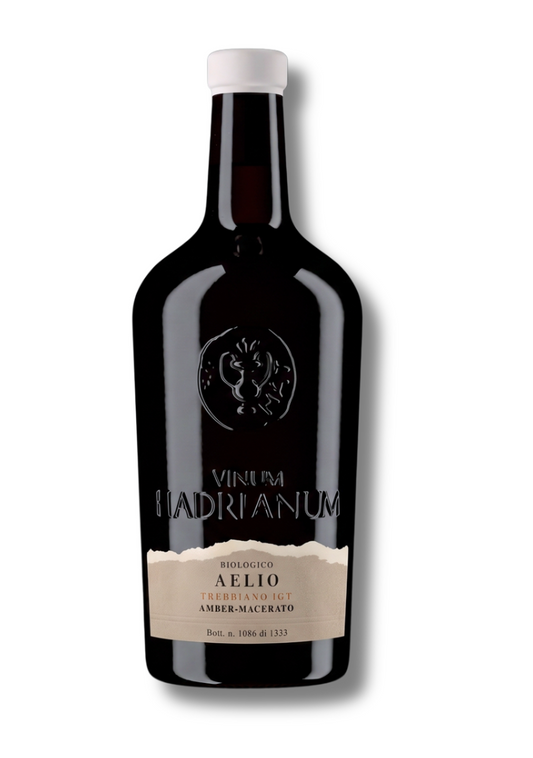 Aelio  Trebbiano Terre d' Abruzzo  IGT 2025