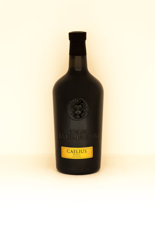 CAELIUS Rosso Ciliegiolo is made from  cherry grapes, a tribute to Caelius Attianus,  a personal friend and guardian of Emperor Hadrian, a character who was an important Roman politician  and military officer. This is, also macerated  for a long time on the skins, has a bright  cherry red color and a fresh, persistent and  intense taste.| Vinum Hadrianum