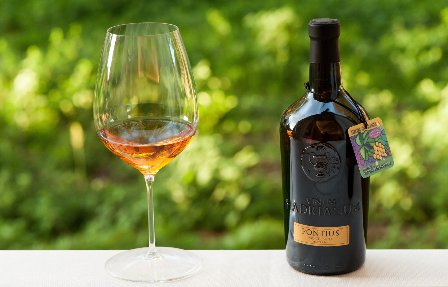 PONTIUS Montonico Superiore DOC Dry White Wine | Vinum Hadrianum